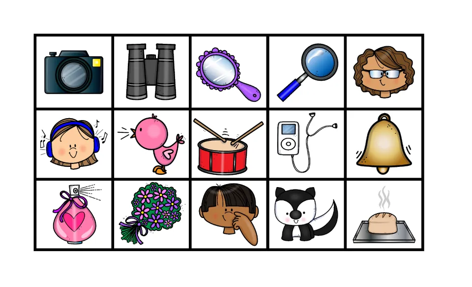 Sight, sound and smell picture cards cut-out piece: camera, binoculars, drum, bell, perfume, skunk to sort by sense