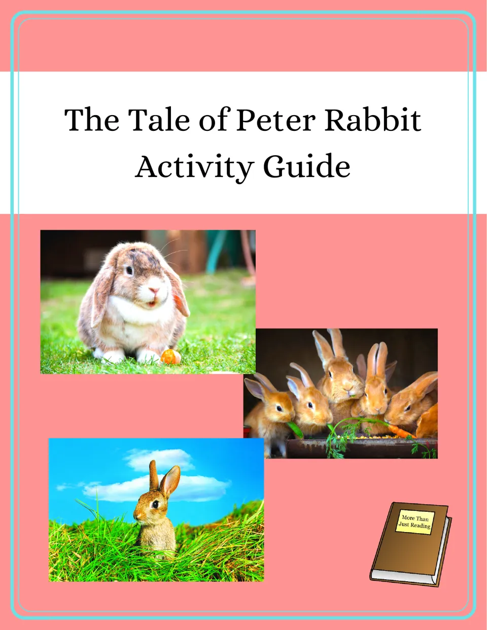Cover of The Tale of Peter Rabbit Activity Guide, introducing the story-based discussion and activity pages