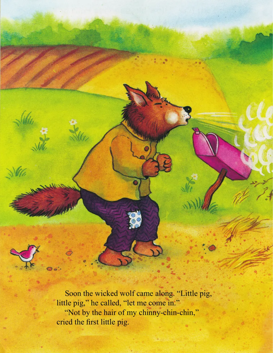 The wicked wolf calls "Little pig, let me come in" and the pig answers "Not by the hair of my chinny-chin-chin"