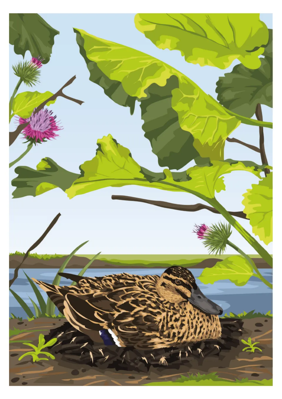 Full-page story illustration shows the mother duck sitting on her nest beneath burdock leaves by the river