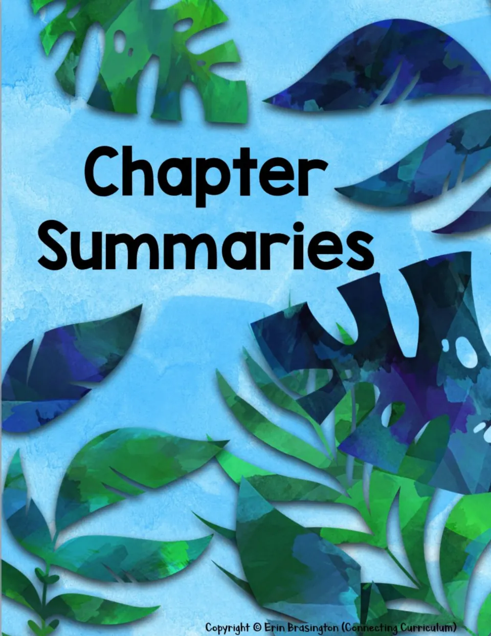 Chapter Summaries section divider introduces the novel study's summaries of the novel's four books.