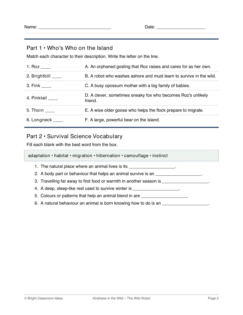 Island characters and survival vocabulary: students match Roz, Brightbill and others to descriptions, then fill in six terms