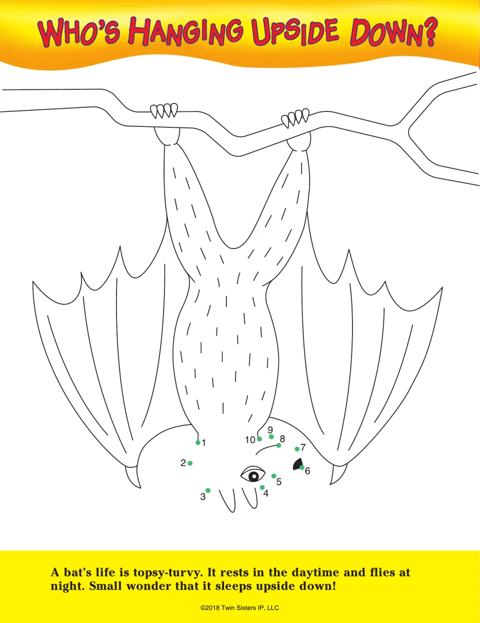 Who's Hanging Upside Down?: students join dots 1 to 10 to draw a hanging bat's head, plus why bats sleep upside down