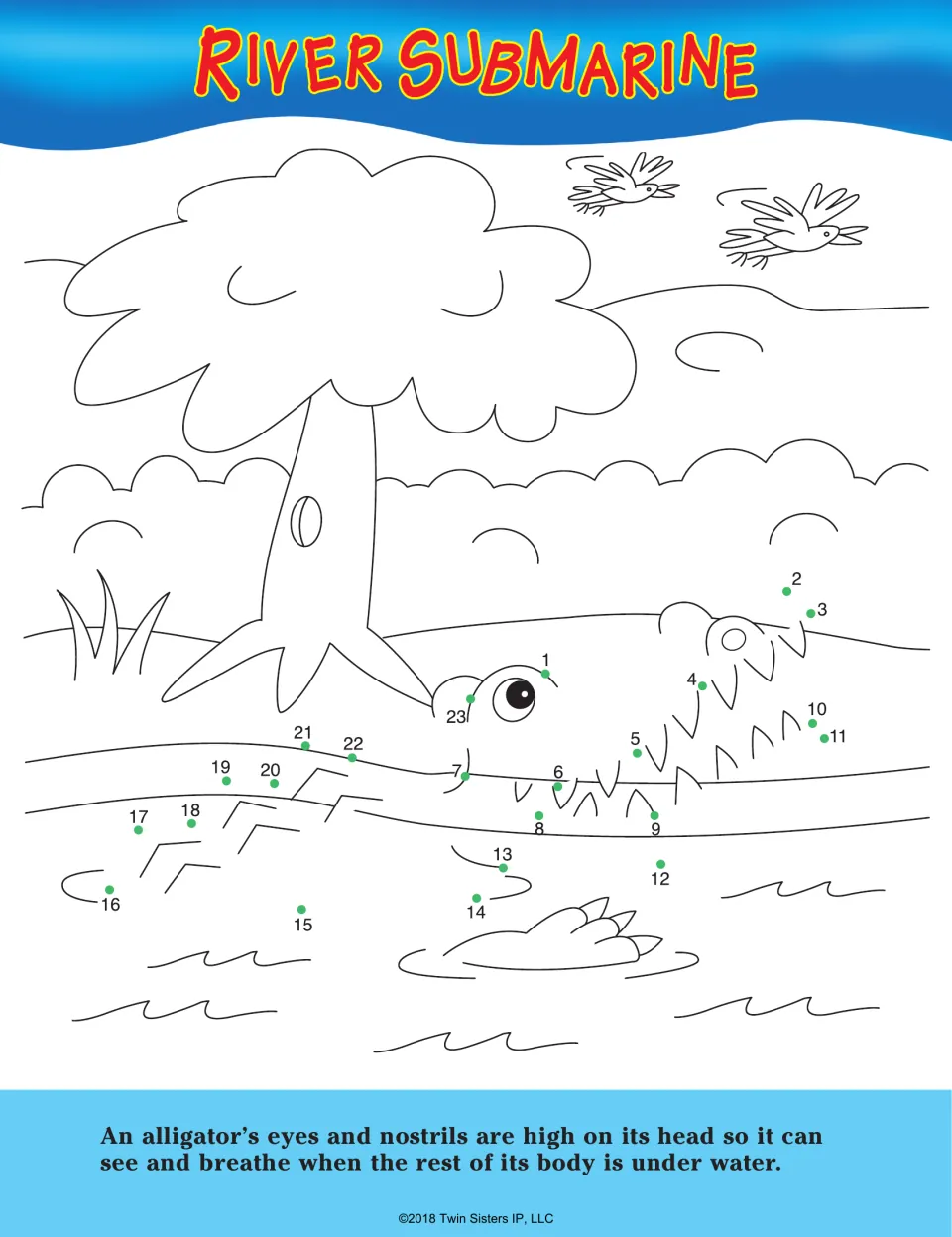 River Submarine: students connect dots 1 to 23 to draw an alligator in a river and read about its eyes and nostrils
