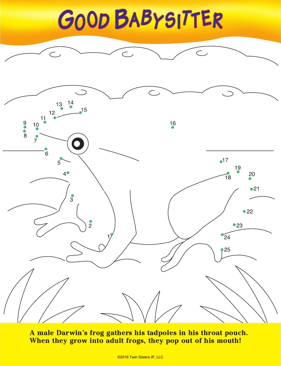 Good Babysitter dot-to-dot: students join dots 1 to 25 to outline a Darwin's frog and read how it carries tadpoles