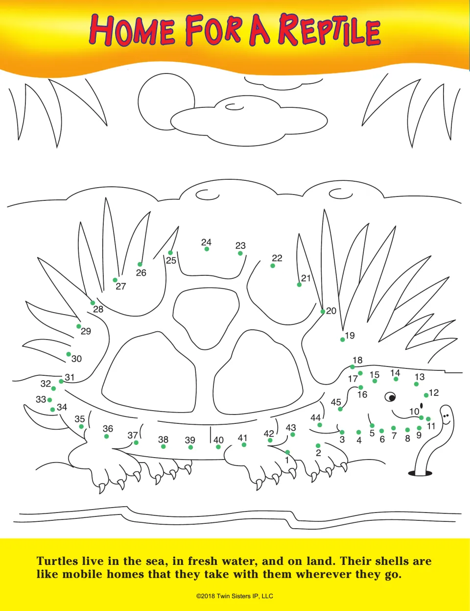 Home for a Reptile: students follow dots 1 to 45 to outline a turtle's shell and head, plus a fact about turtle shells