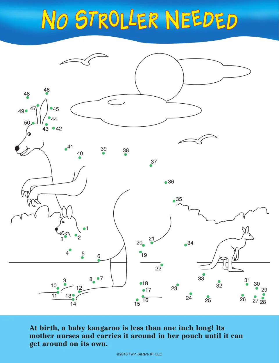 No Stroller Needed: students connect dots 1 to 50 to finish a kangaroo carrying a joey, with a fact about baby size