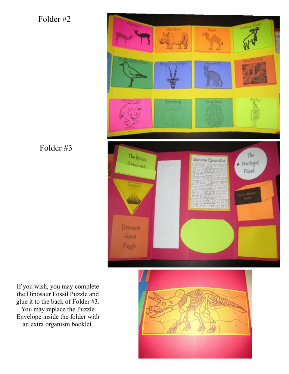 Completed lapbook examples show Folders 2 and 3, plus an optional dinosaur fossil puzzle on the back of Folder 3.