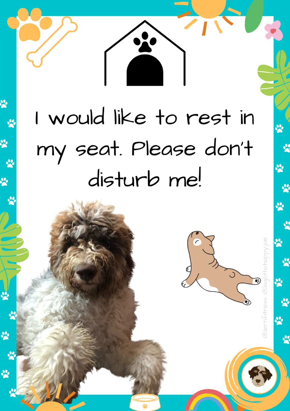 Rest rule poster with dog photo: asks students not to disturb the school dog while it rests in its seat, doghouse icon