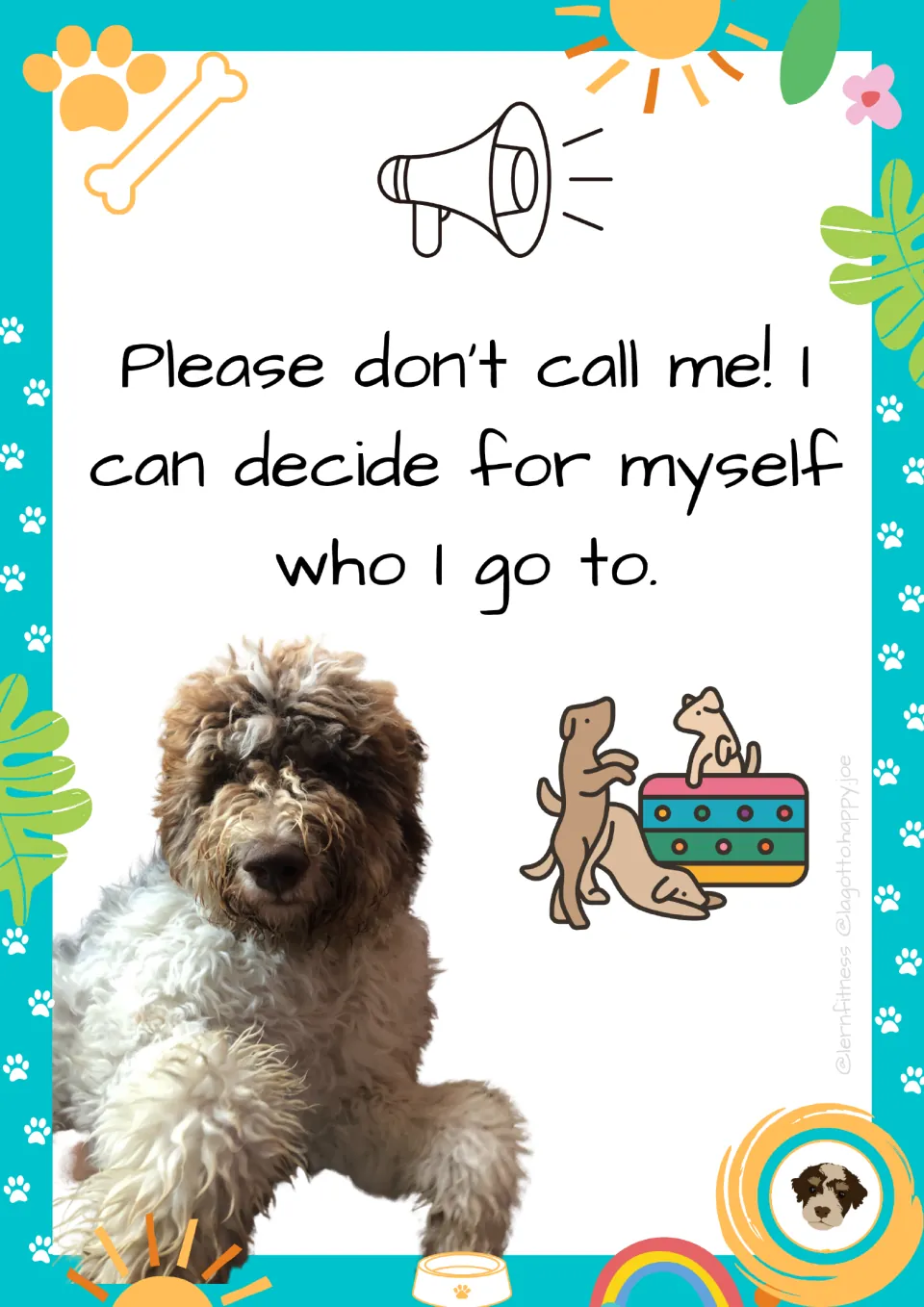 Calling rule poster with dog photo: students let the school dog choose who it goes to instead of calling it over