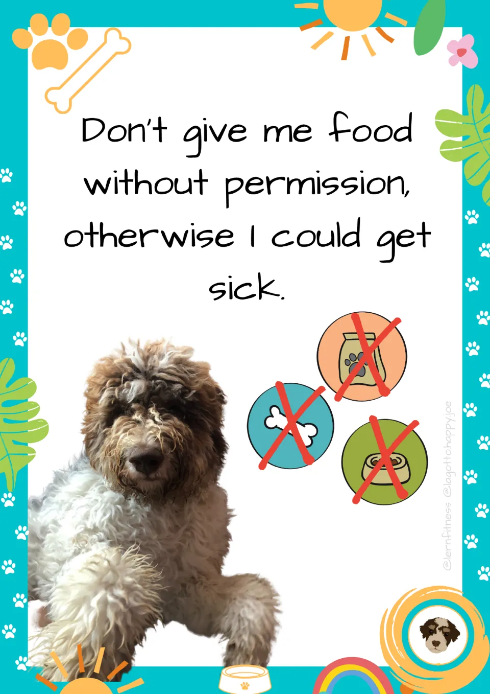Food rule poster with dog photo: "Don't give me food without permission, otherwise I could get sick."