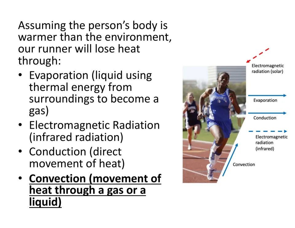 Heat loss lesson slide defines evaporation, infrared radiation, conduction, and convection beside a runner.