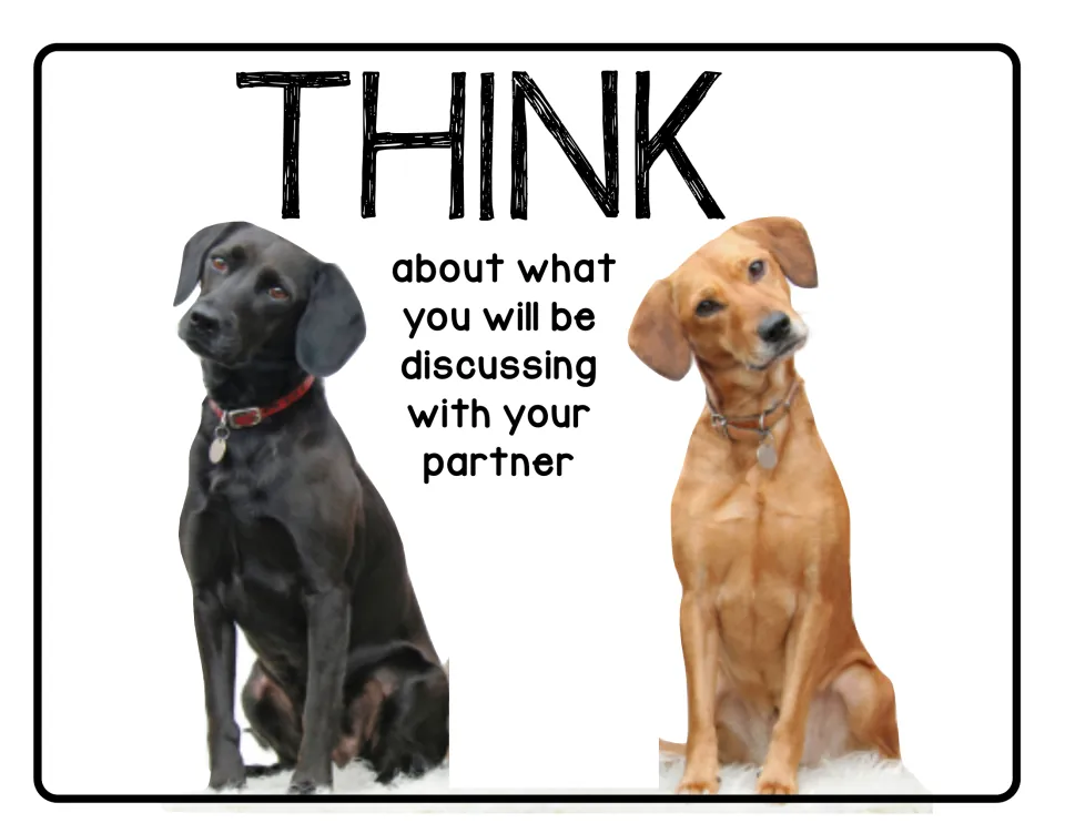 Think poster: think about what you will be discussing with your partner, the first step in the poster set.