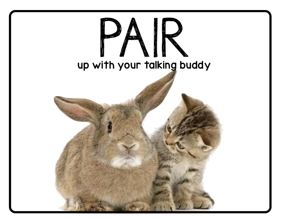 Pair poster: pair up with your talking buddy, the second step in the set of discussion reference posters.