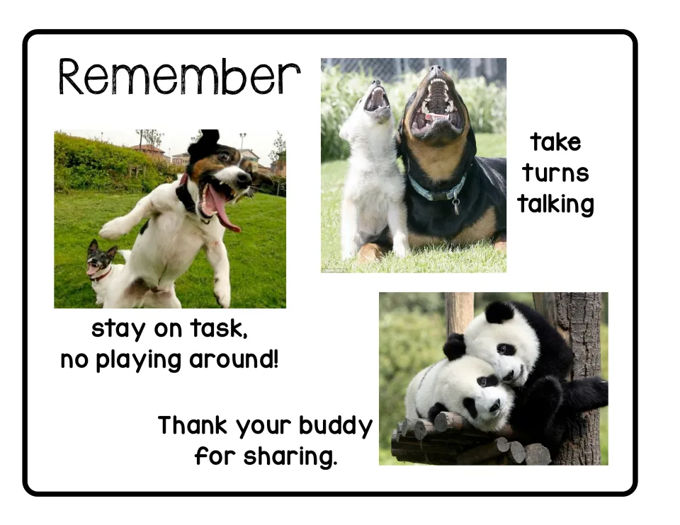 Reminder poster: stay on task, no playing around, take turns talking, and thank your buddy for sharing.