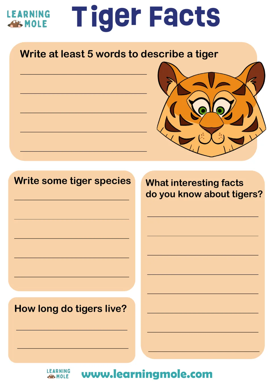 Tiger Facts: students write at least 5 describing words, tiger species, interesting facts and how long tigers live