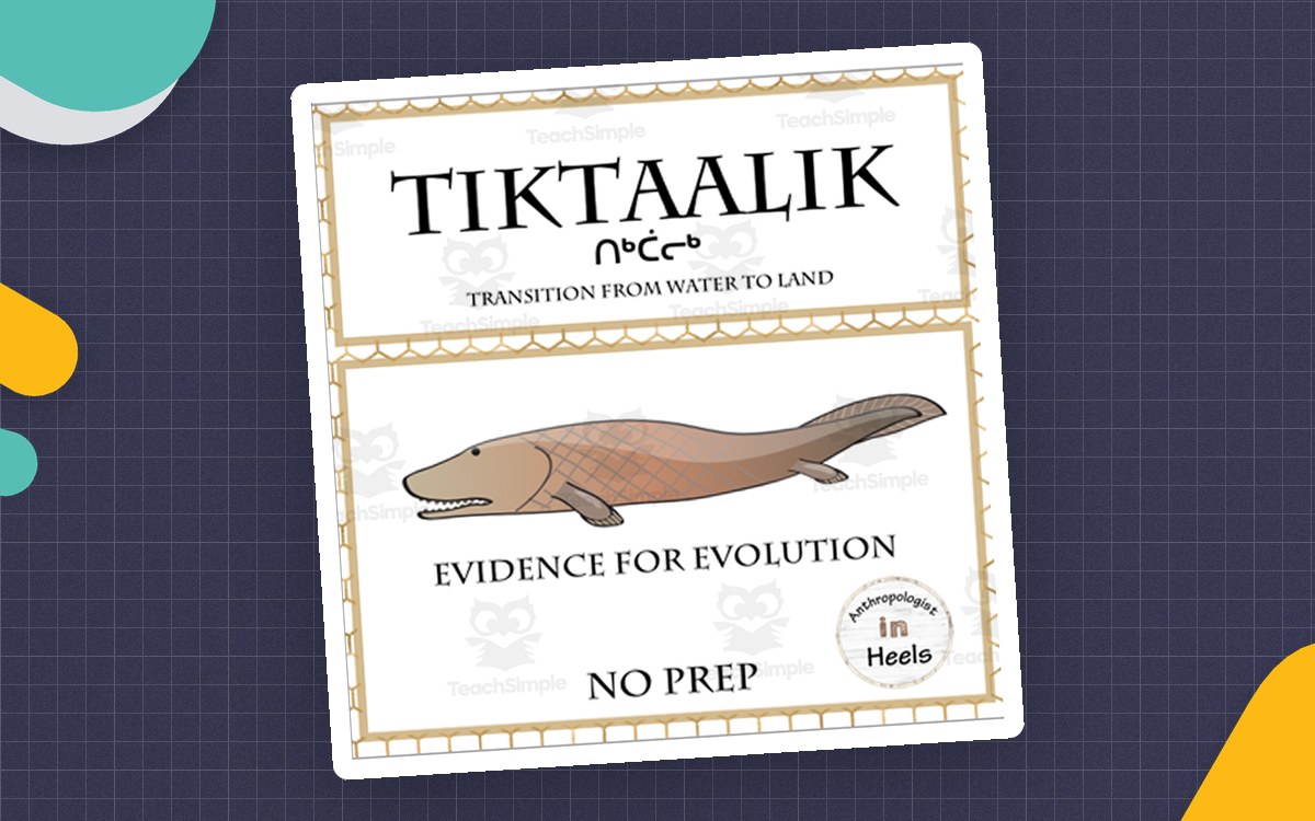 Tiktaalik : Evidence for Evolution Informational Text and Activity preview