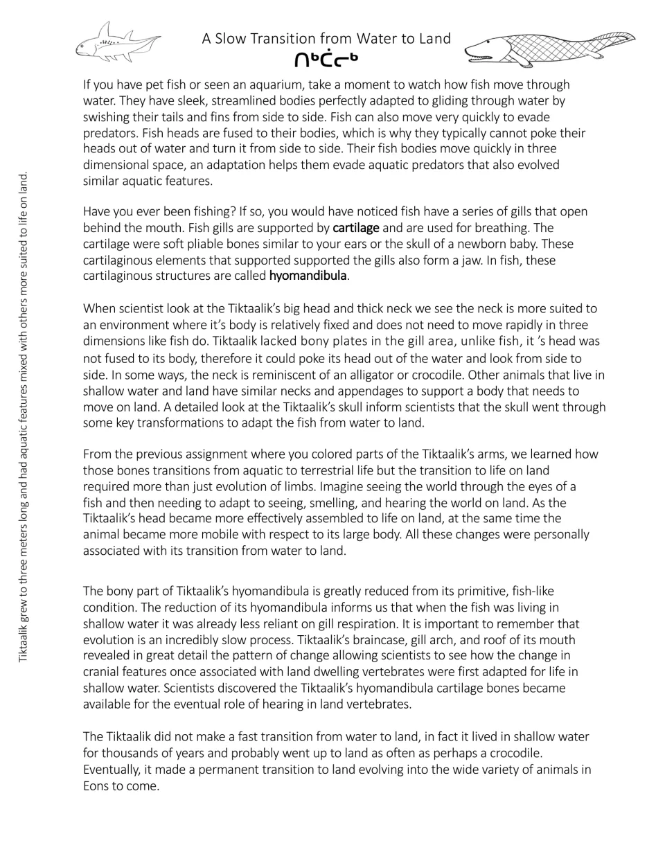 Water-to-land transition reading: six paragraphs on fish bodies, cartilage, hyomandibula and Tiktaalik's neck and skull