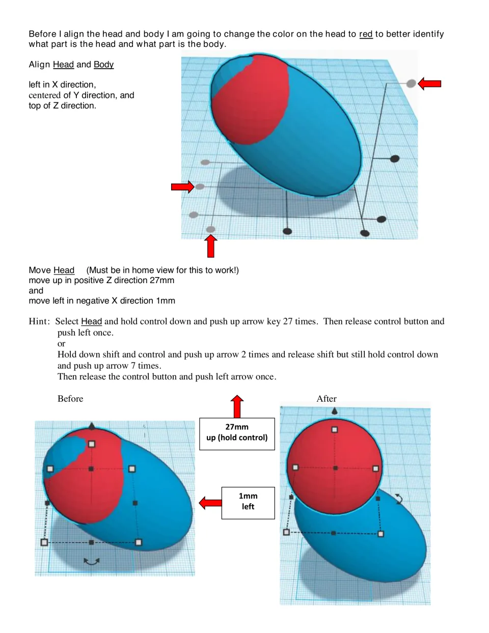 Head placement steps: students align the red head sphere with the body, then move it up 27 mm and left 1 mm with arrow keys
