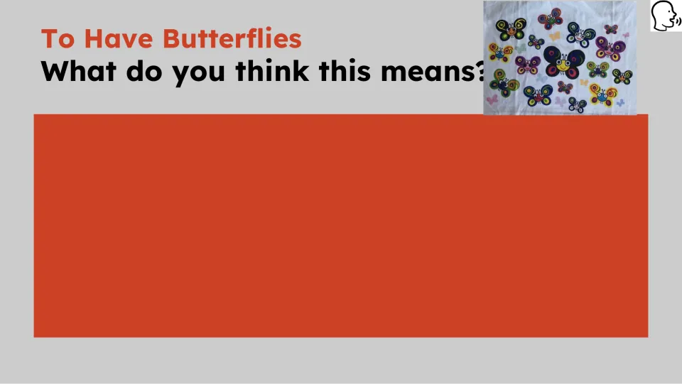 Opening prompt asks students what they think the idiom about having butterflies means, with space to respond