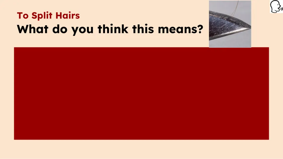 Opening idiom prompt asks students what 'to split hairs' means, alongside a close-up of a hair on a blade.