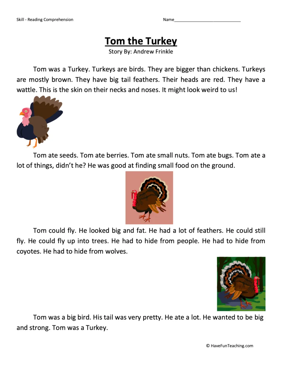 Turkey reading passage: a short illustrated story about Tom's looks, wattle, food, flying and hiding from predators
