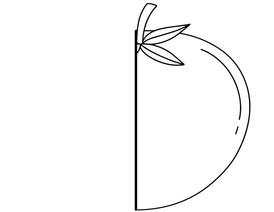 Black-and-white tomato cover cut-out piece: right half of a tomato outline with stem and leaves for students to color
