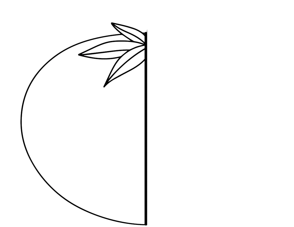 Outline cut-out piece: left half of a tomato with leaves, uncolored, to pair with the black-and-white right half