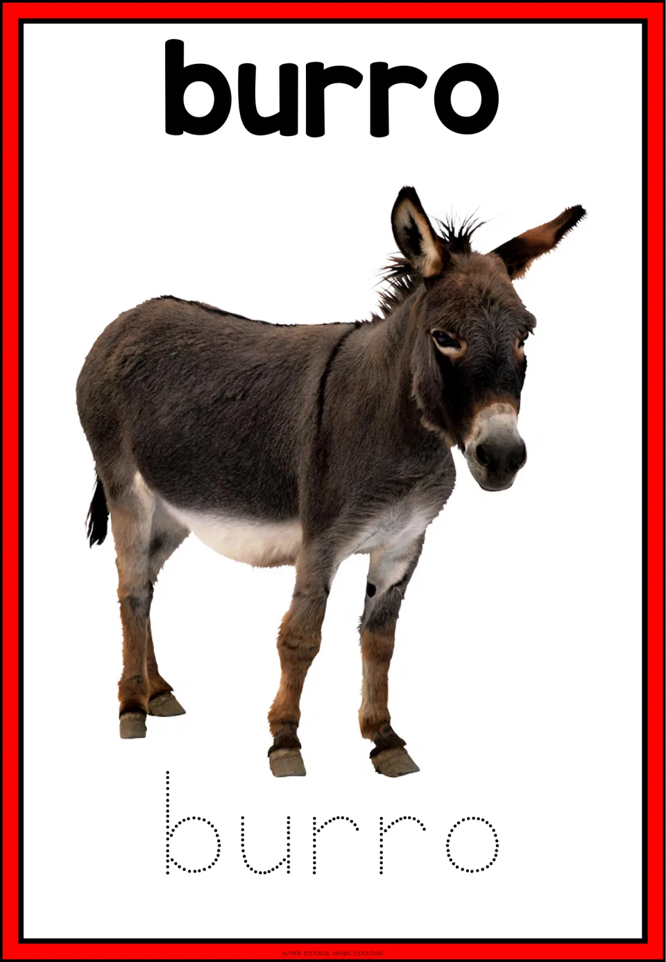 Spanish farm word burro: students look at a donkey photo, read the bold word, then trace the dotted letters of burro