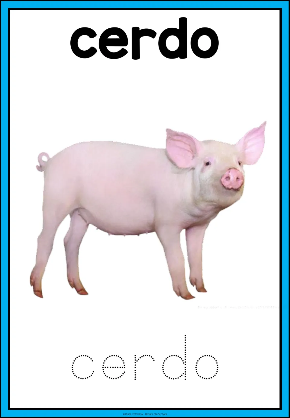 Spanish farm word cerdo: a photo of a pink pig with a curly tail, with the word cerdo in dotted letters to trace