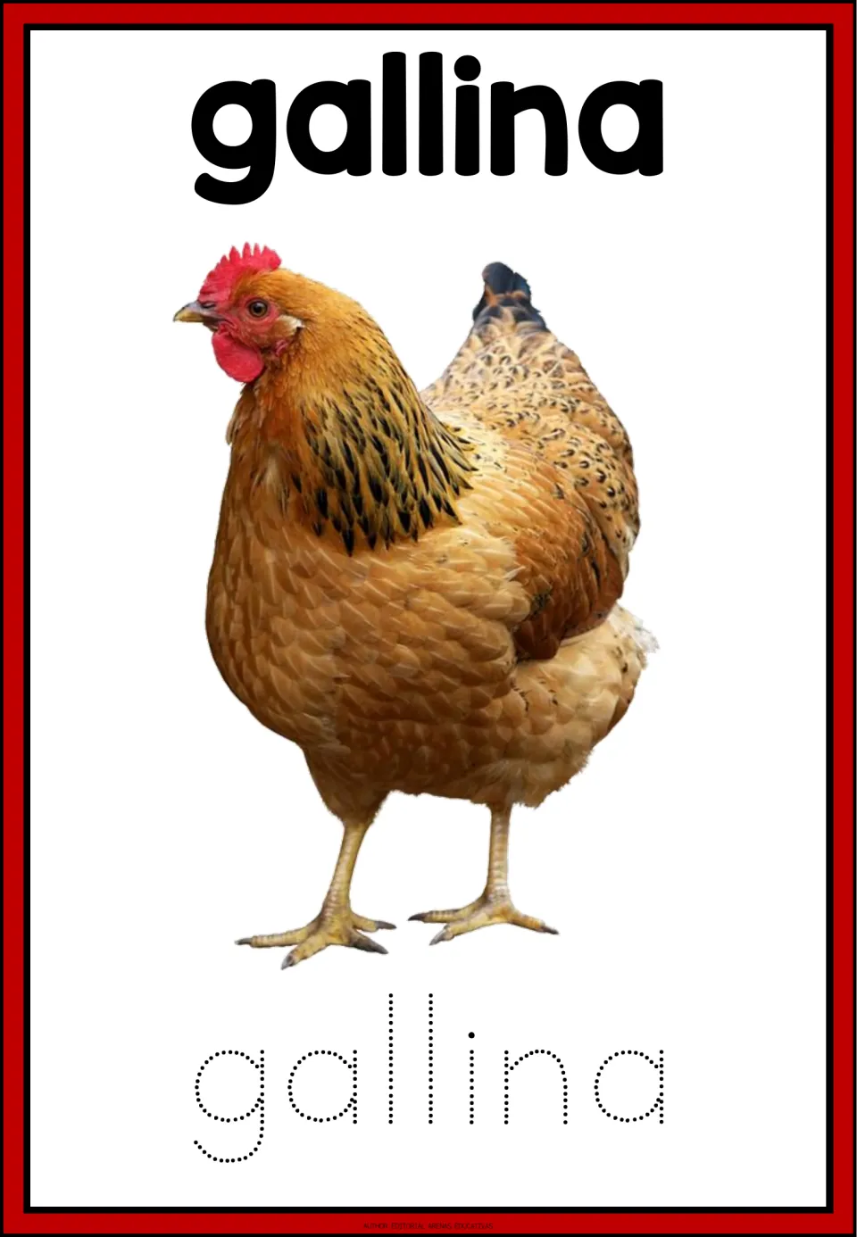 Spanish farm word gallina: students trace the dotted letters of gallina under a photo of a brown hen with a red comb