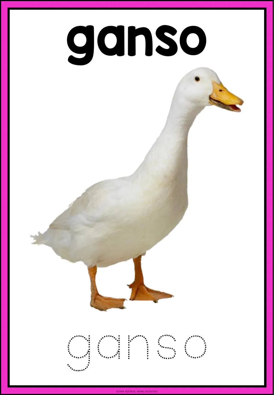 Spanish farm word ganso: a photo of a white bird with an orange beak and feet above dotted letters to trace ganso