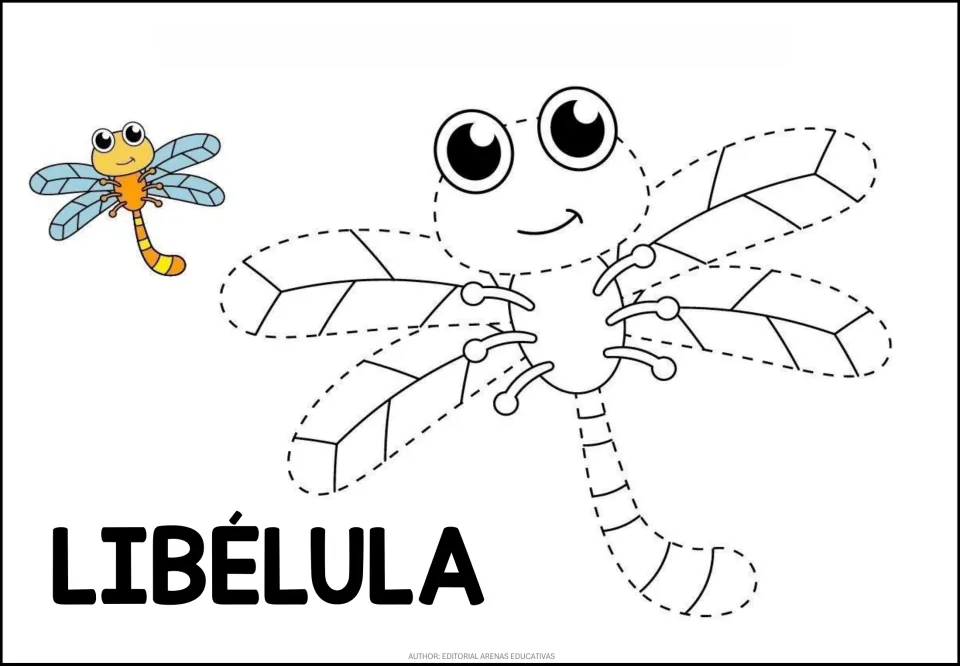 Dragonfly (LIBÉLULA) tracing: students follow the dotted wings, head and tail of a big-eyed dragonfly beside a color model