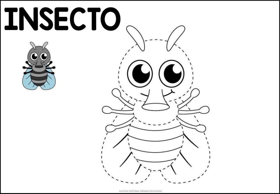 Fly (INSECTO) tracing: students trace the dotted head, wings and striped body of a big-eyed fly, gray fly model at left