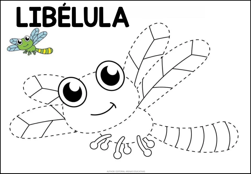 Second dragonfly (LIBÉLULA) tracing: students trace the dotted veined wings and long tail of a dragonfly, green model