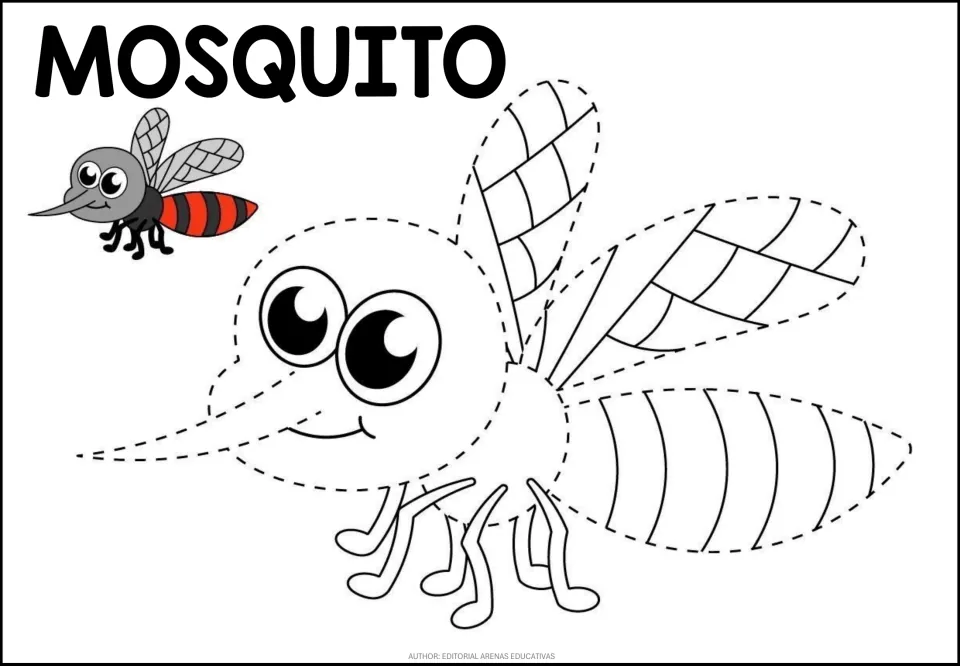 Mosquito tracing: students trace the dotted long nose, wings and striped body of a mosquito, red-striped model