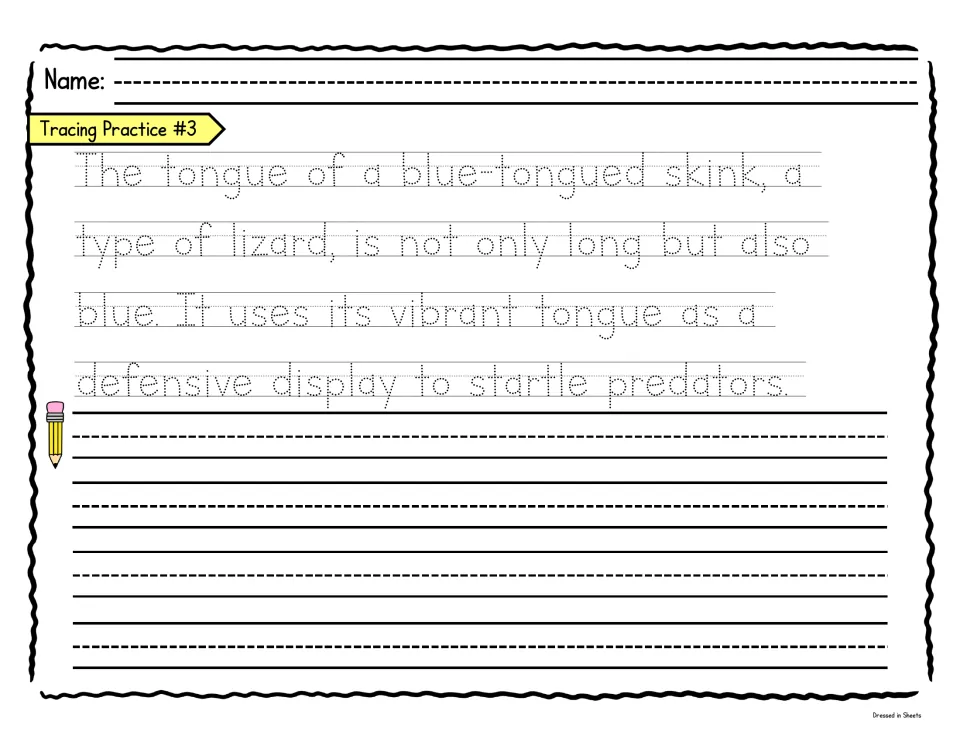 Blue-tongued skink fact: students trace a dotted sentence about the lizard's tongue startling predators, then copy it