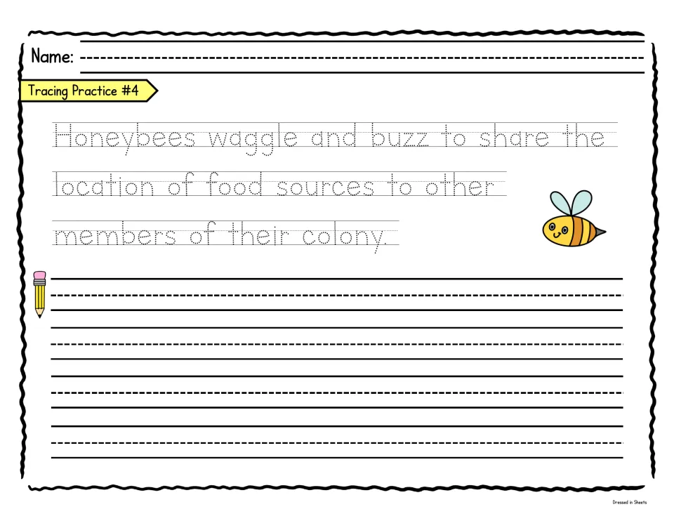Honeybee fact: students trace a dotted sentence about bees waggling and buzzing to share food locations, then rewrite it