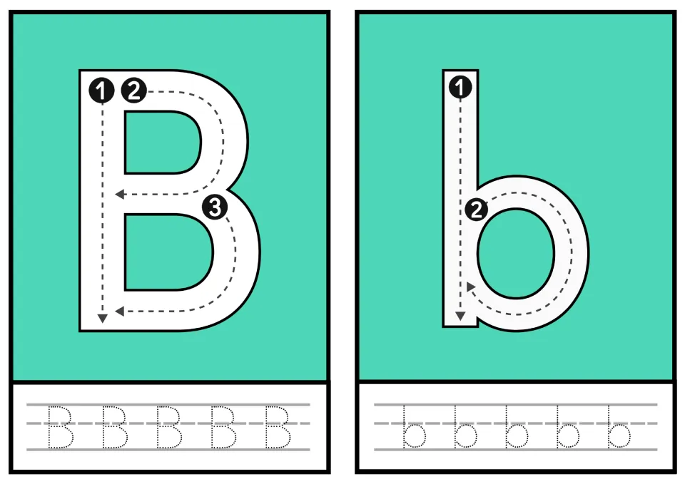 Letter B and b: numbered stroke arrows show how to form each letter, then students trace a row of five dotted B and b