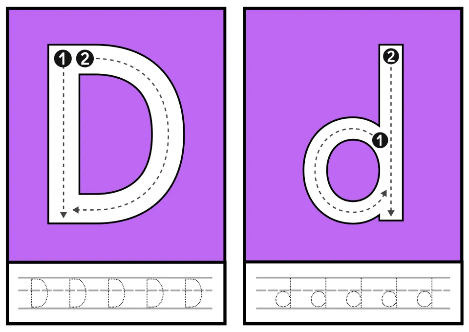 Letter D and d: students form D and d using numbered stroke arrows, then trace dotted D and d five times on ruled lines