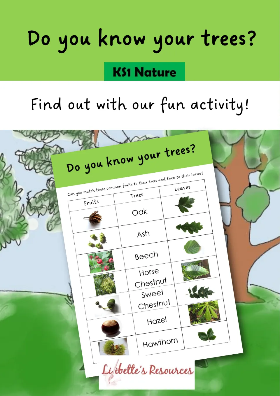 Do You Know Your Trees? KS1 Nature cover showing a matching sheet of tree fruits, tree names and leaf photos