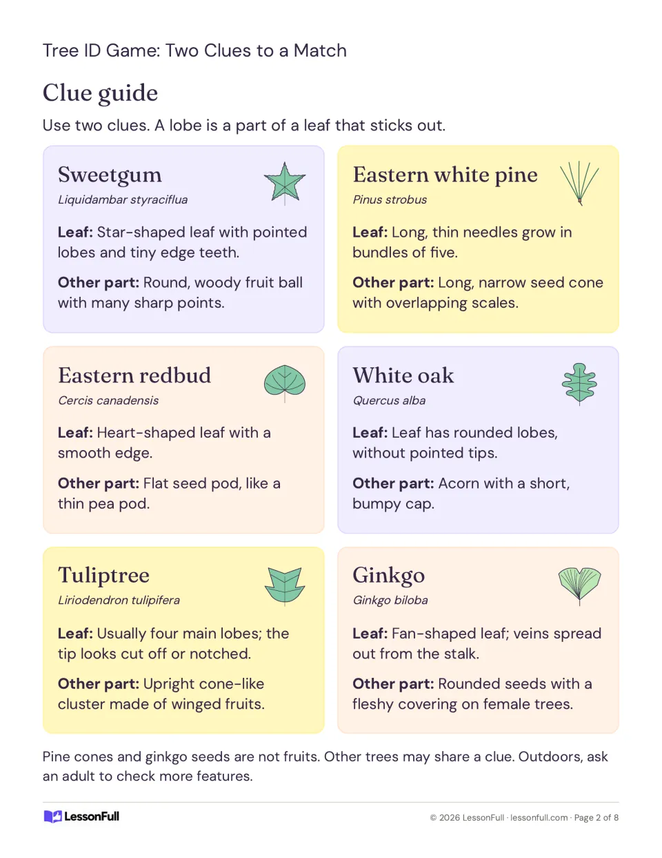 Tree clue guide: sweetgum, eastern white pine, eastern redbud, white oak, tuliptree, and ginkgo traits.