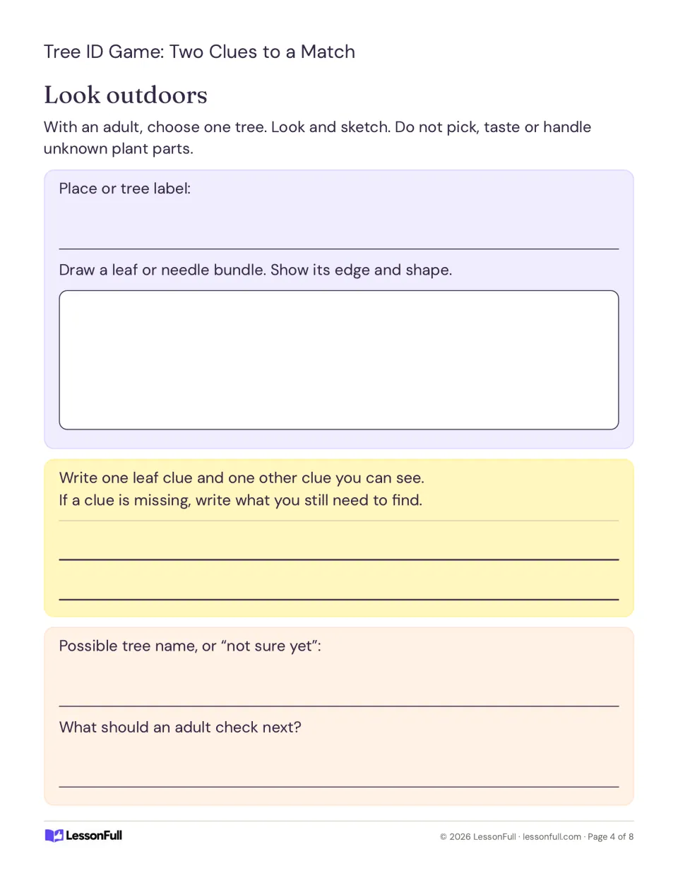 Outdoor tree observation sheet: sketch a leaf or needle bundle, record two clues, and suggest a tree name.
