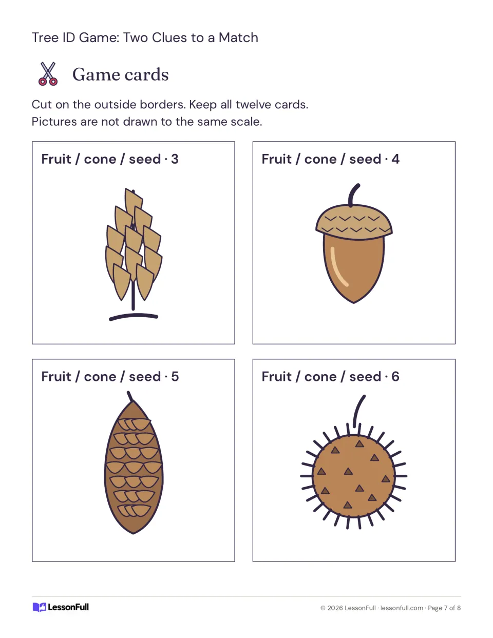 Tree matching cards 3–6 show a tuliptree fruit cluster, white oak acorn, pine cone, and sweetgum fruit ball.