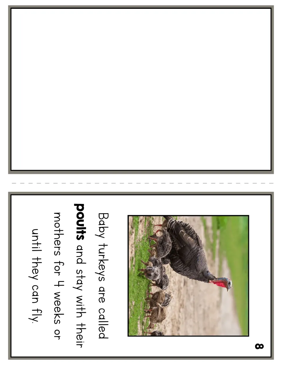 Reader page 8 explains that baby turkeys are poults and stay with their mothers for four weeks or until they fly