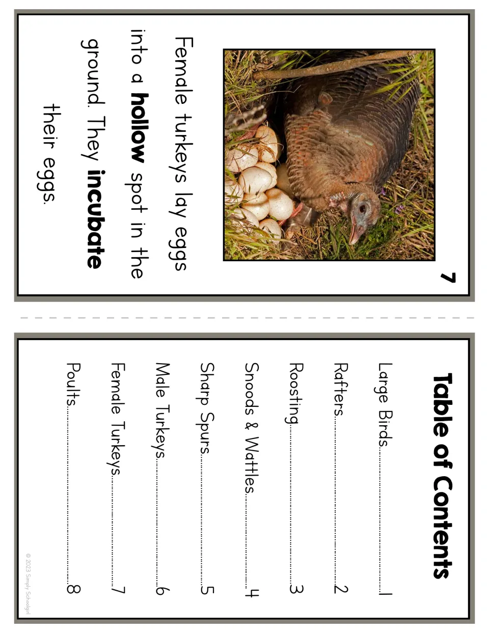 Reader page 7 describes females laying and incubating eggs in a hollow; the contents lists eight topics