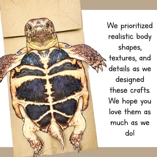 Turtle | Paper Bag Puppet | Printable Craft – sample page 3