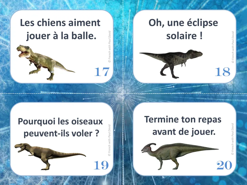 French sentence-type task cards 17–20 about dogs playing ball, a solar eclipse, birds flying, and finishing a meal