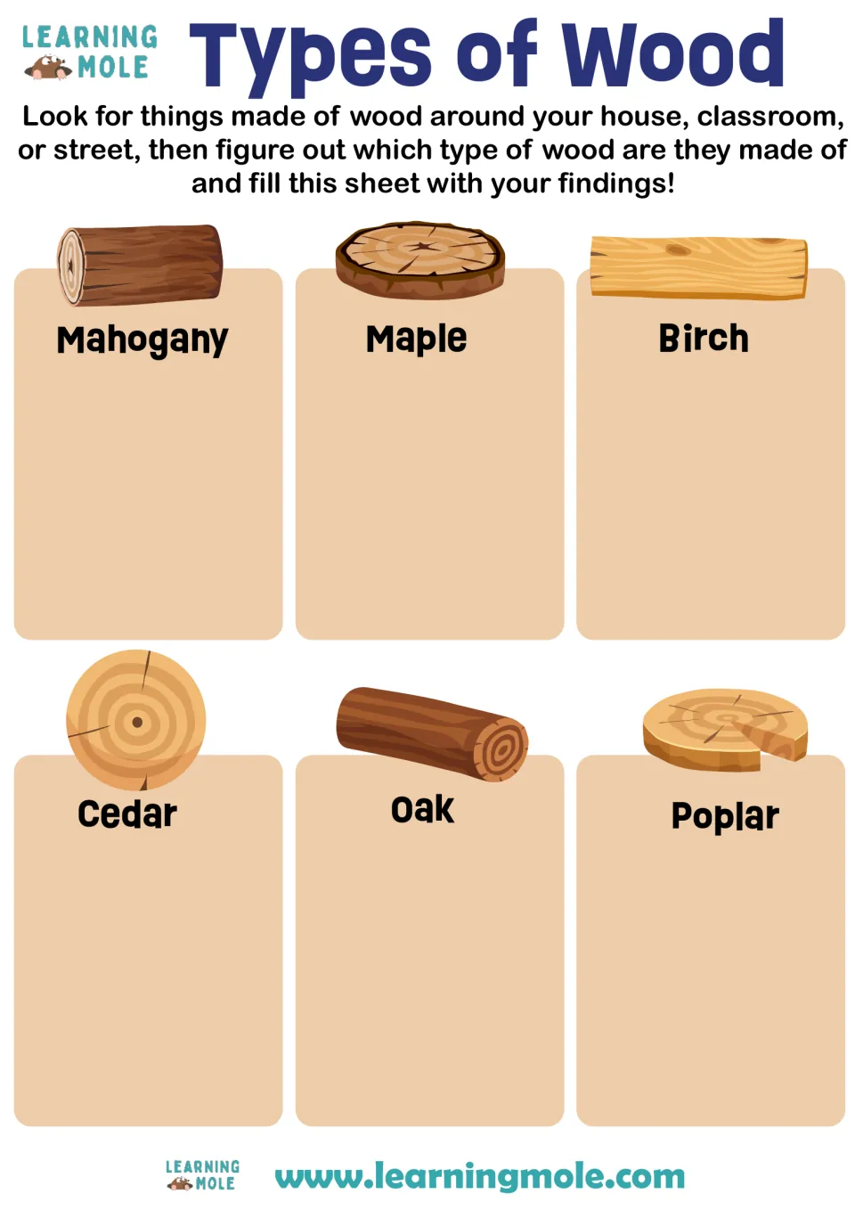 Types of wood hunt: students find wooden objects nearby and record them under mahogany, maple, birch, cedar, oak, poplar