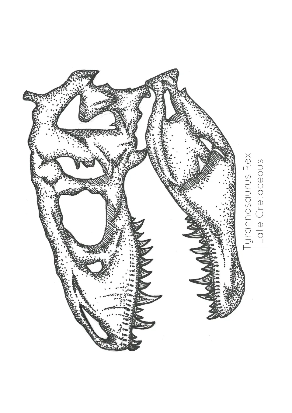 Dinosaur skull poster showing T. rex jaws and pointed teeth, labeled Tyrannosaurus Rex and Late Cretaceous